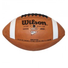 Notre Dame 2010 GST Football by Wilson