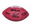 Super Bowl 21 Football