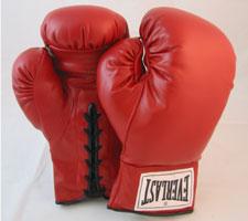 Everlast Boxing Gloves for Autographs