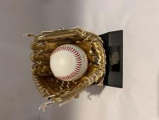 Mini Gold Glove by Rawlings Image