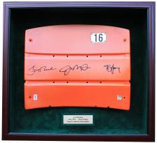 Display Case for Seatback