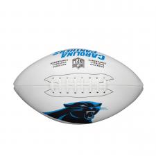 Panthers team logo football