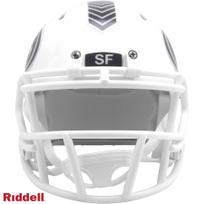 49ers Salute to Service Helmet - Mini white