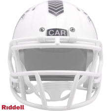 Panthers Salute to Service Helmet - Mini white