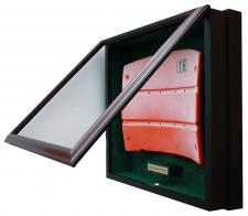 Display Case for Seatback