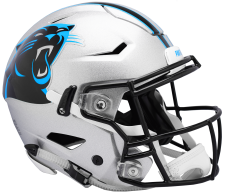 Panthers Speed Flex Helmets